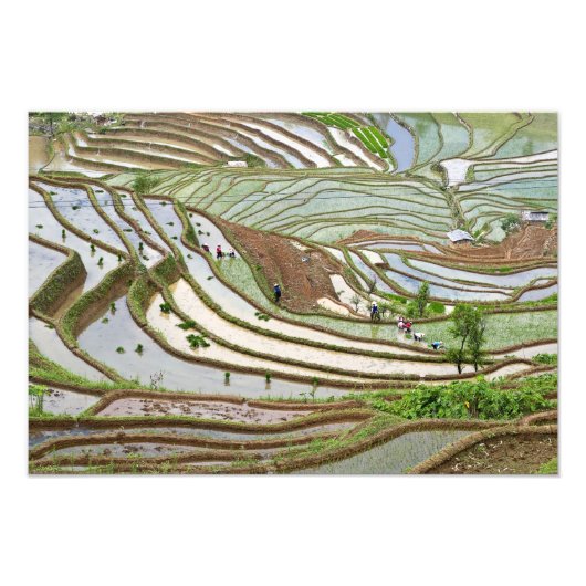 アジア、中国、雲南省、金平。先住民イ族 フォトプリント (正面)