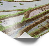 アジア、中国、雲南省、金平。先住民イ族 フォトプリント (角)