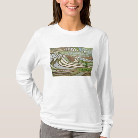 アジア、中国、雲南省、錦屏。イ族 Tシャツ (正面)