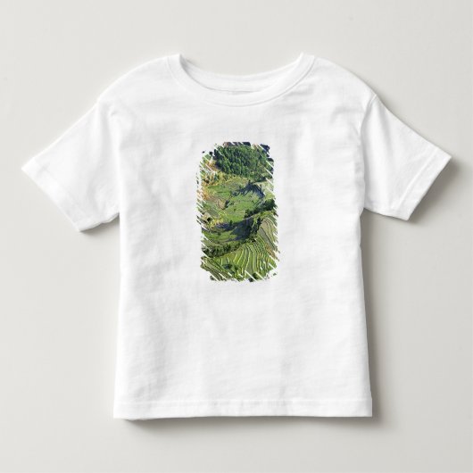 アジア、中国、雲南、元陽。 緑の模様 トドラーTシャツ (正面)