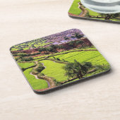 アジア、中国、雲南、本河。 2近くの棚田 コースター (左側)