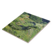 アジア、中国、雲南、湯安屋。緑のパターン タイル (側面)