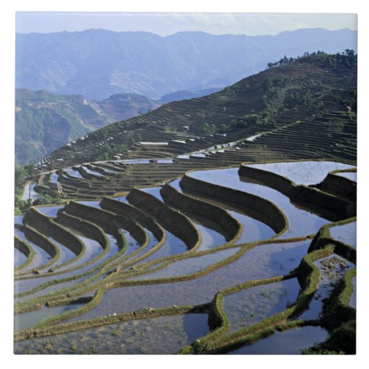 アジア、中国、雲南、Yuanyang。堅牢 タイル (正面)