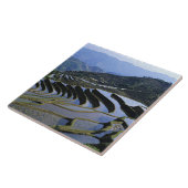 アジア、中国、雲南、Yuanyang。堅牢 タイル (側面)