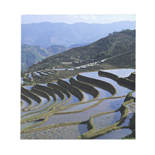 アジア、中国、雲南、Yuanyang。堅牢 ノートパッド (正面)