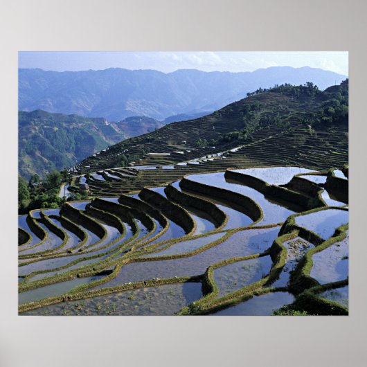 アジア、中国、雲南、Yuanyang。堅牢 ポスター (正面)