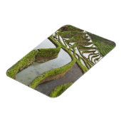 アジア、中国、雲南、Yuanyang。浸水した米 マグネット (左側)