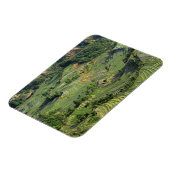 アジア、中国、雲南、Yuanyang。緑2のパターン マグネット (左側)