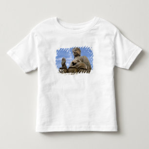 アジア、中国、香港、ランタオ島、昂坪 トドラーTシャツ