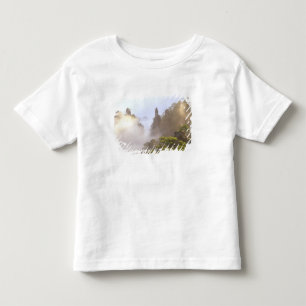 アジア、中国、黃山。霧に包まれた黄山 トドラーTシャツ