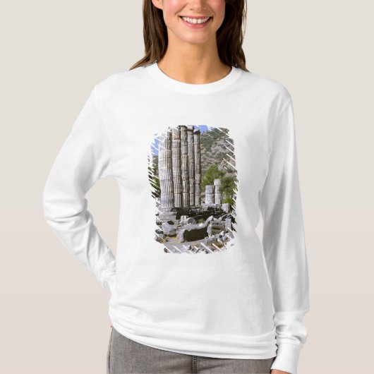 アジア、中東、トルコ、エフェソス。寺院 Tシャツ (正面)