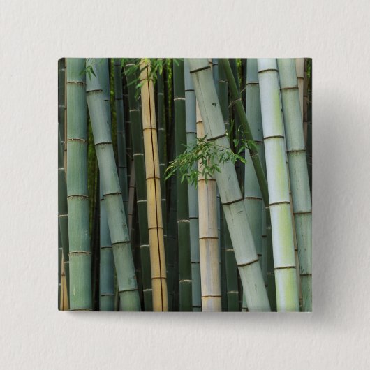 アジア、日本、京都、嵐山、嵯峨野、竹 缶バッジ (正面)