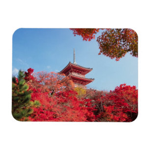 アジア、日本、京都。秋の色彩 マグネット