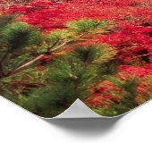 アジア、日本、京都。秋色 ポスター (角)