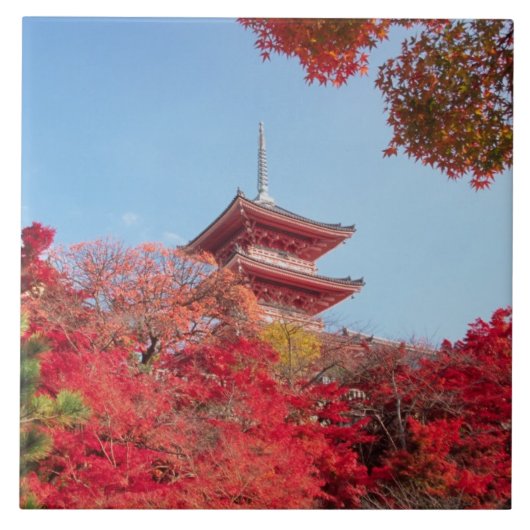 アジア, 日本, 京都。紅葉 タイル (正面)