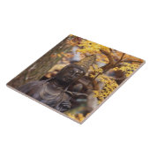 アジア、日本、仏 タイル (側面)