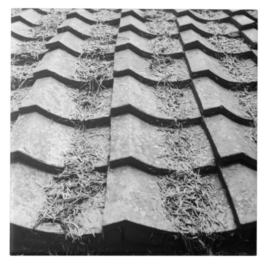 アジア、日本、宮島。粘土屋根詳細 タイル (正面)