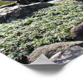 アジア、日本、東京。ザ日本のガーデン ポスター (角)