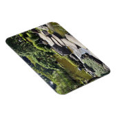 アジア、日本、東京。ザ日本のガーデン マグネット (右側)