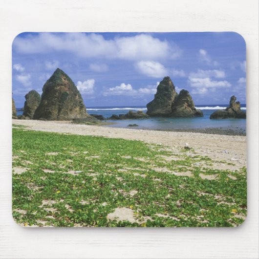 アジア、日本、沖縄、やんばる海岸、海 マウスパッド (正面)
