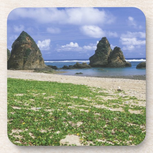 アジア、日本、沖縄、山原海岸線、海 コースター (正面)