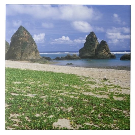 アジア、日本、沖縄、山原海岸線、海 タイル (正面)