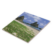 アジア、日本、沖縄、山原海岸線、海 タイル (側面)