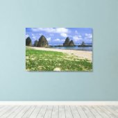 アジア，日本，沖縄，山原海岸，海 キャンバスプリント (インサイチュ (ウッドフロア))