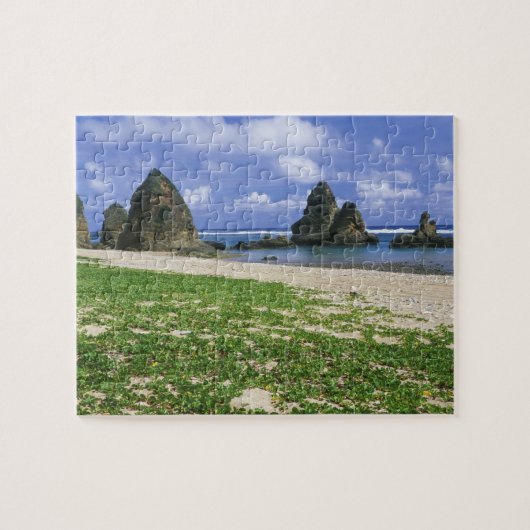 アジア,日本,沖縄,山原海岸,海 ジグソーパズル (横)