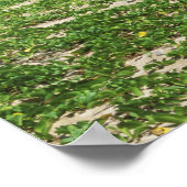 アジア，日本，沖縄，山原海岸，海 ポスター (角)