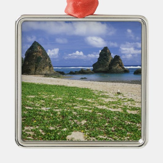 アジア，日本，沖縄，山原海岸，海 メタルオーナメント (正面)