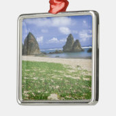 アジア，日本，沖縄，山原海岸，海 メタルオーナメント (左)