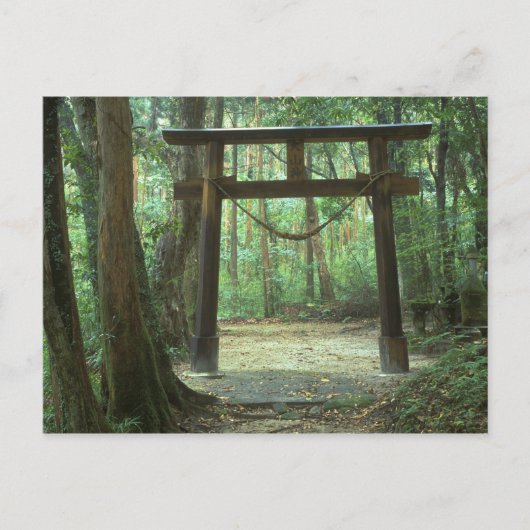 アジア，日本，鹿児島，屋久島，山 ポストカード (正面)