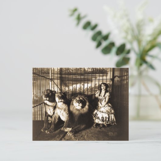 アジェとライオンズ1899年ヴィンテージサーカス ポストカード (スタンド正面)