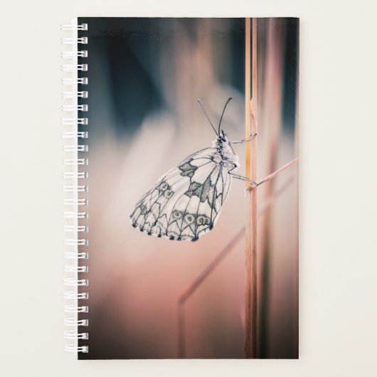 アジェンダ・デミ・ドゥイル プランナー手帳 (正面)