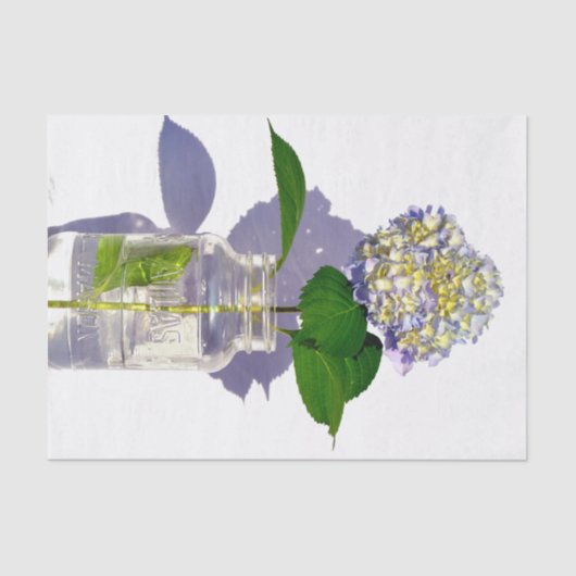 アジサイとメイソン・ジャー 薄葉紙 (正面)