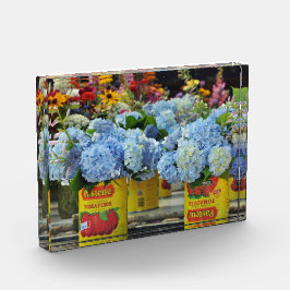アジサイと新鮮な花がトマト缶に フォトブロック