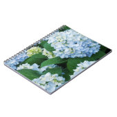 アジサイによってはノートが開花します ノートブック (左側)