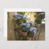 アジサイのポット ポストカード (正面/裏面)