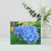 アジサイの夏の花の庭 ポストカード (スタンド正面)