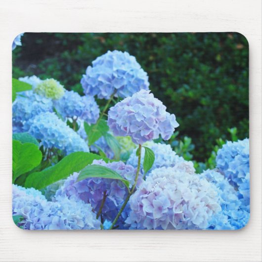 アジサイの庭のマウスパッド 花 フローラル マウスパッド (正面)