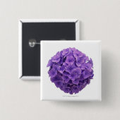 アジサイの球のクローズアップ 缶バッジ (正面&裏面)