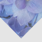 アジサイの花が咲き誇る 薄葉紙 (詳細)