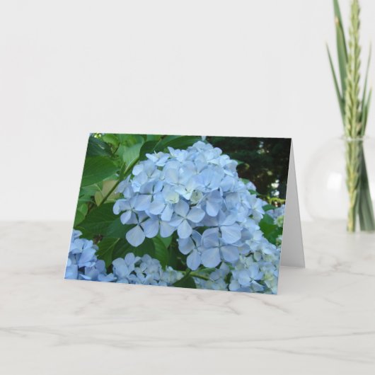 アジサイの花のカード 青いアジサイの庭 サンキューカード (正面)