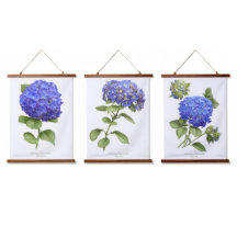 アジサイの花のボタニカルアート3点セット
