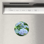 アジサイの花のマグネットギフト 青緑の庭 マグネット (インサイチュ (食洗機))