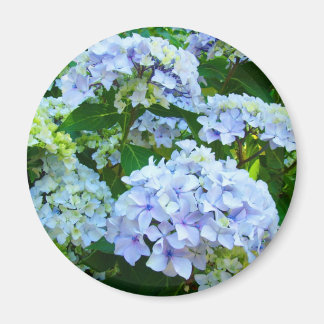 アジサイの花のマグネットギフト 青緑の庭 マグネット