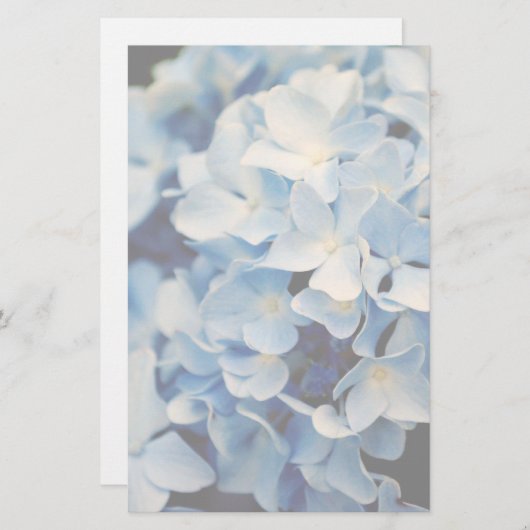 アジサイの花の文房具 便箋 (正面/裏面)