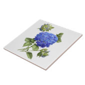 アジサイの花の植物画 タイル (側面)