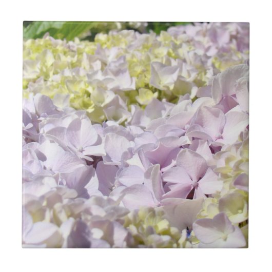 アジサイの花びらタイル装飾アート タイル (正面)